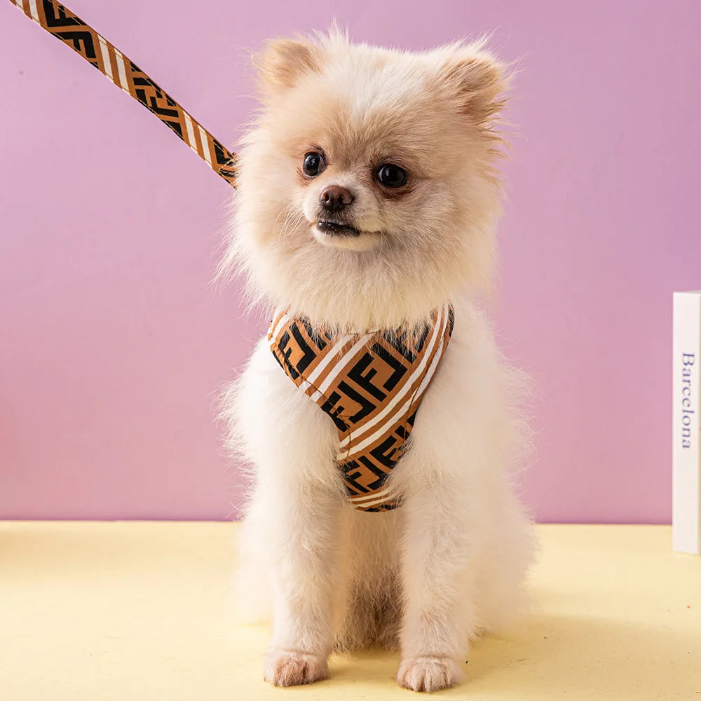 Posh Luxury  Dog Leash