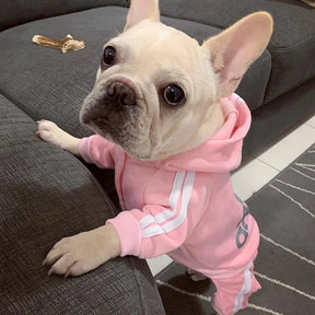 Puppy Pet Hoodie