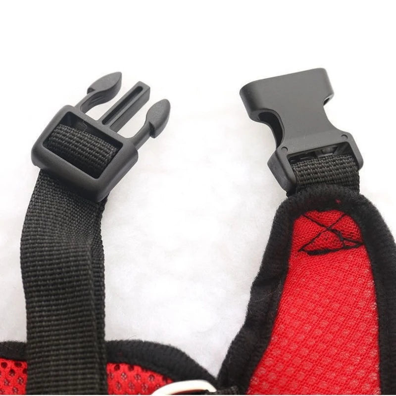 Adjustable Dog Harness