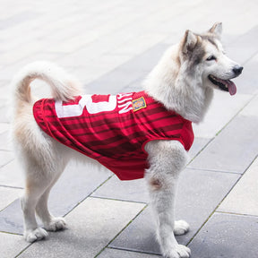 Dog Sports Clothes